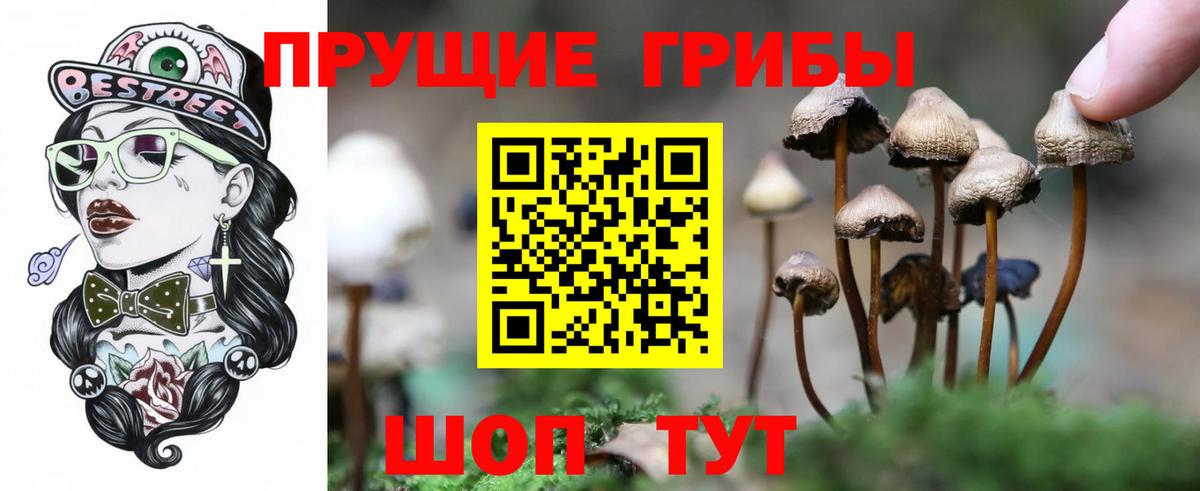 Ярцево  где купить   Вход с VPN  Галлюциногенные грибы прущие грибы 